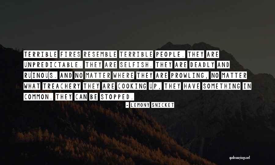 Muza Quotes By Lemony Snicket Muza Quotes By Lemony Snicket