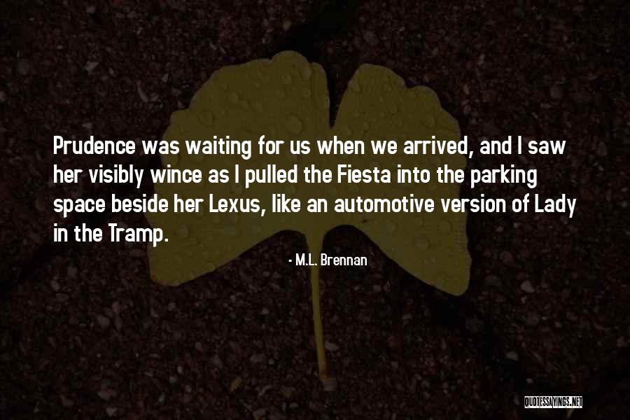 Mvelase Mthembu Quotes By M.L. Brennan Mvelase Mthembu Quotes By M.L. Brennan