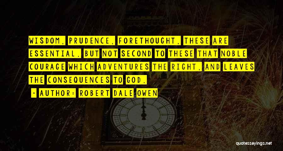 My Adventures With God Quotes By Robert Dale Owen