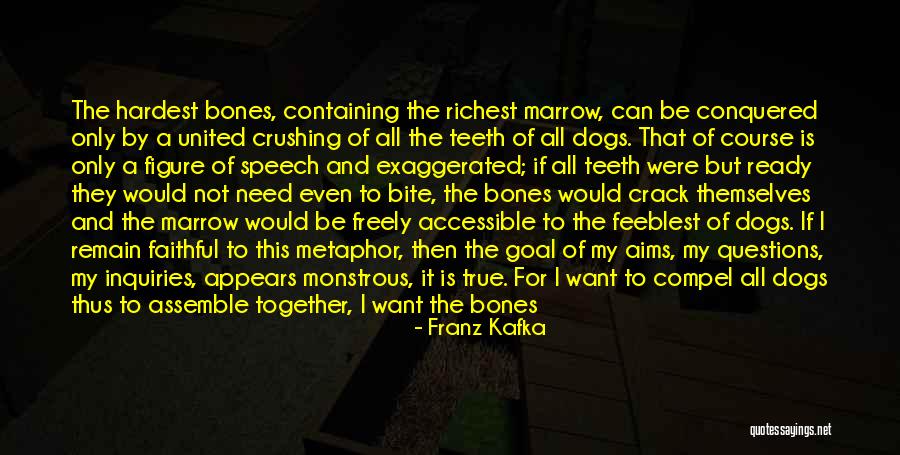 My Aims Quotes By Franz Kafka My Aims Quotes By Franz Kafka