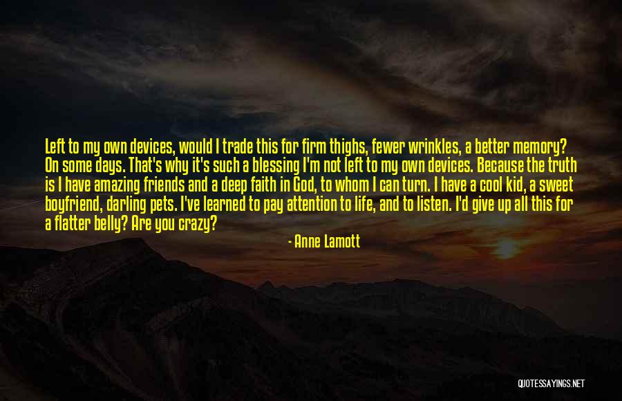 My Amazing Life Quotes By Anne Lamott