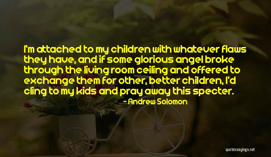 My Angel Quotes By Andrew Solomon