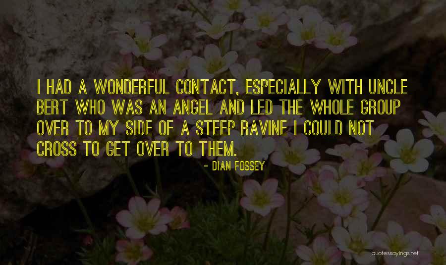 My Angel Quotes By Dian Fossey