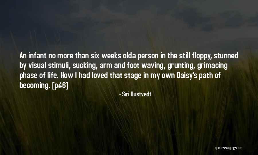 My Babies No More Quotes By Siri Hustvedt My Babies No More Quotes By Siri Hustvedt