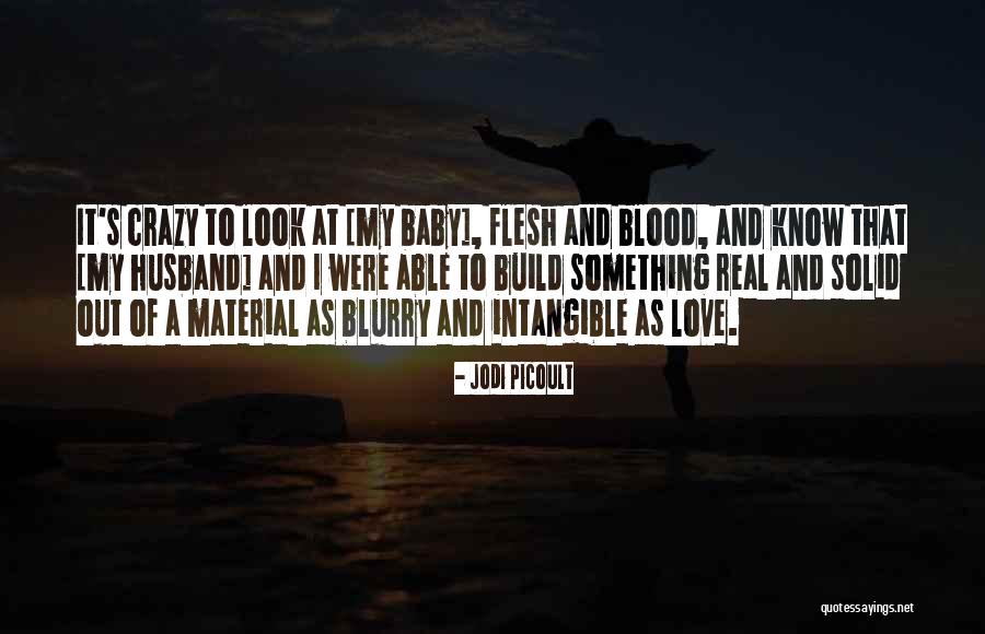 My Baby And Husband Quotes By Jodi Picoult My Baby And Husband Quotes By Jodi Picoult