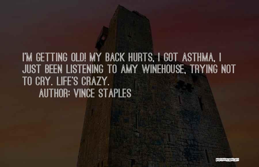 My Back Hurts Quotes By Vince Staples