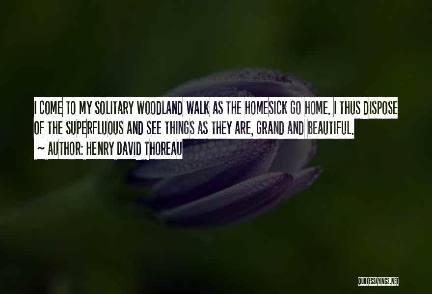 My Beautiful Home Quotes By Henry David Thoreau