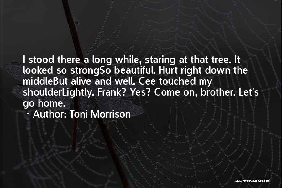 My Beautiful Home Quotes By Toni Morrison