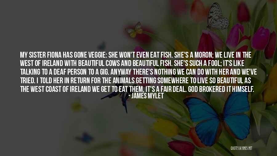 My Beautiful Sister Quotes By James Mylet