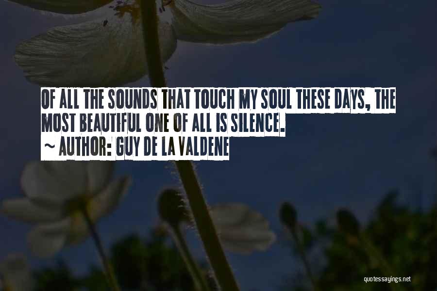 My Beautiful Soul Quotes By Guy De La Valdene