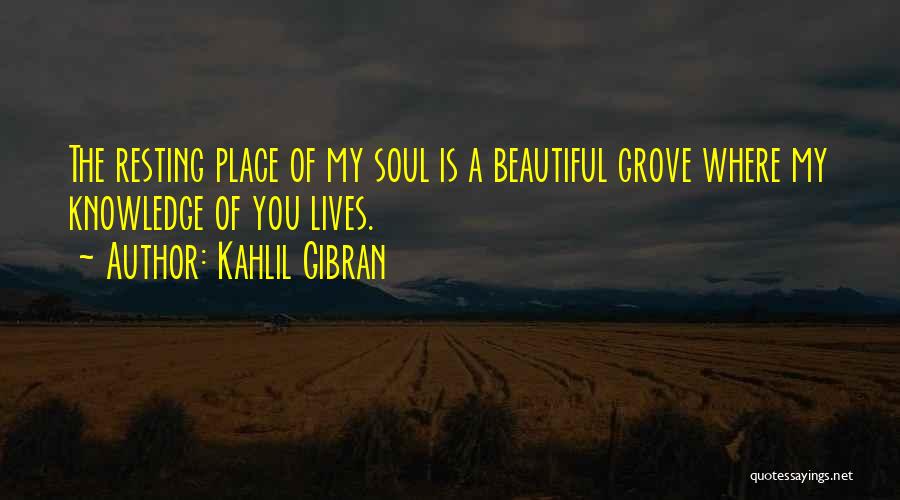 My Beautiful Soul Quotes By Kahlil Gibran