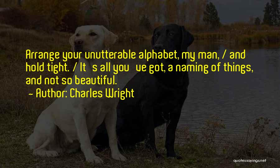 My Beautiful Words Quotes By Charles Wright
