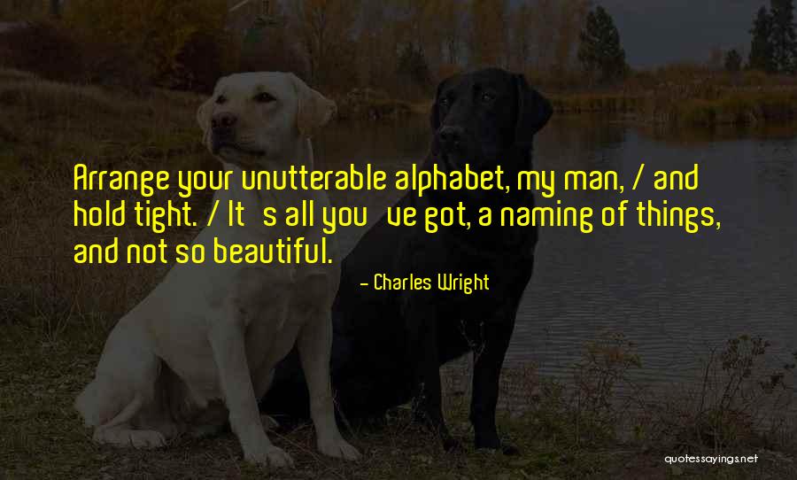 My Beautiful Words Quotes By Charles Wright