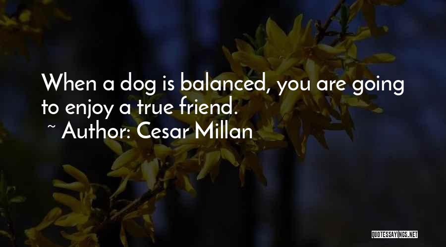My Best Friend Dog Quotes By Cesar Millan
