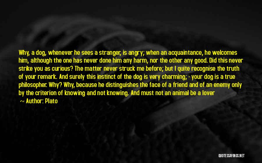 My Best Friend Dog Quotes By Plato