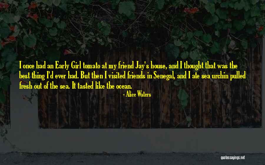 My Best Friend Girl Quotes By Alice Waters My Best Friend Girl Quotes By Alice Waters