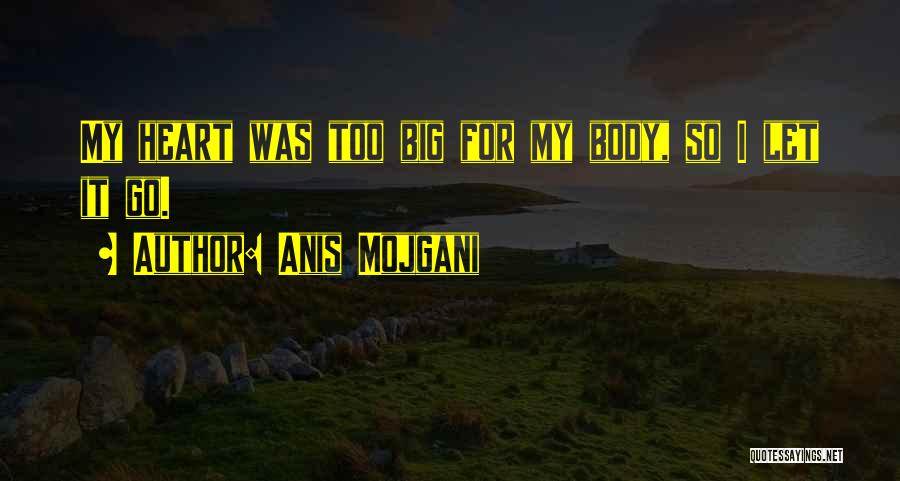 My Big Heart Quotes By Anis Mojgani