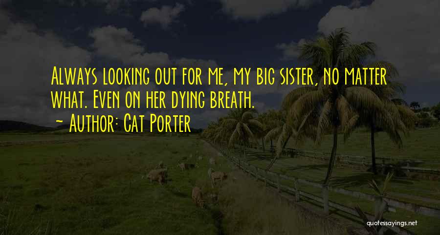 My Big Sister Quotes By Cat Porter