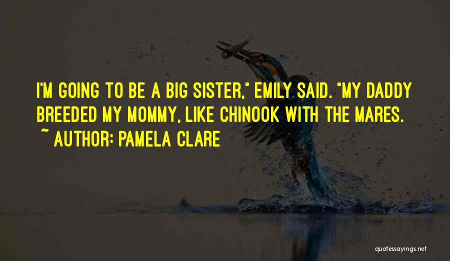 My Big Sister Quotes By Pamela Clare