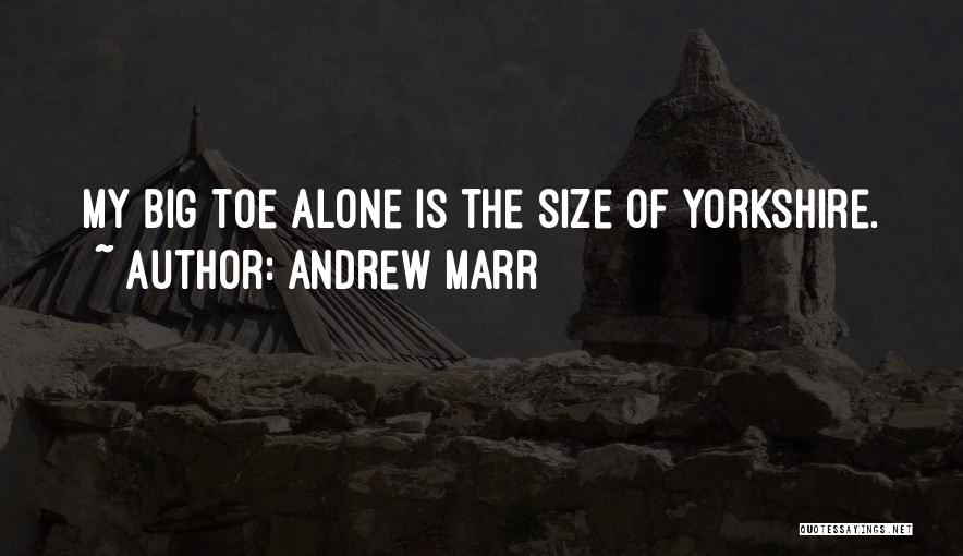 My Big Toe Quotes By Andrew Marr