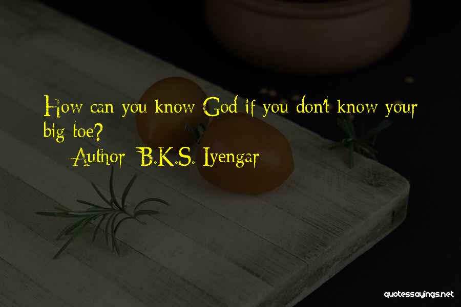 My Big Toe Quotes By B.K.S. Iyengar