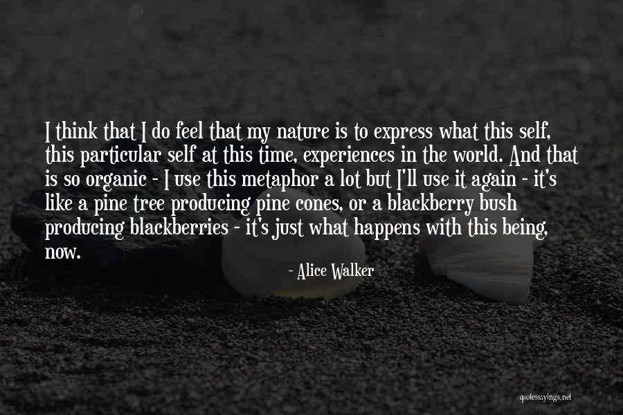 My Blackberry Quotes By Alice Walker