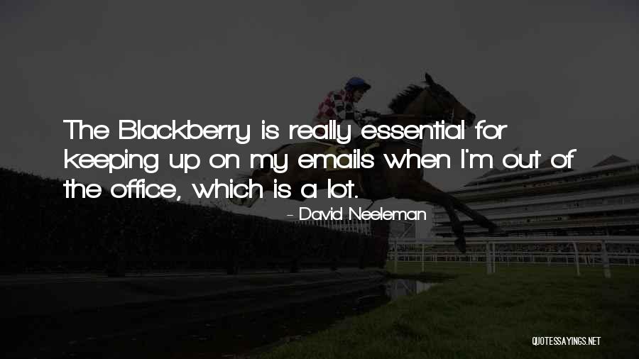 My Blackberry Quotes By David Neeleman