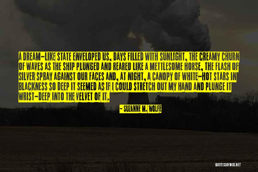 My Blackness Quotes By Suzanne M. Wolfe My Blackness Quotes By Suzanne M. Wolfe