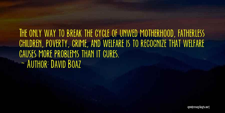 My Boaz Quotes By David Boaz