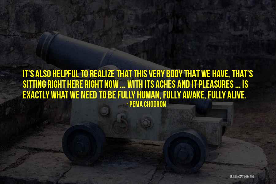 My Body Aches Quotes By Pema Chodron My Body Aches Quotes By Pema Chodron