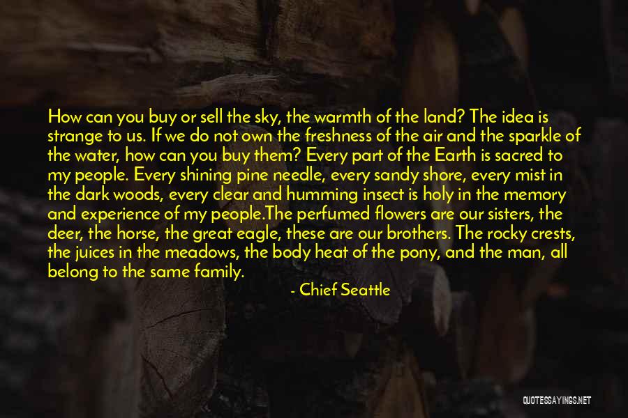 My Body Is Sacred Quotes By Chief Seattle My Body Is Sacred Quotes By Chief Seattle