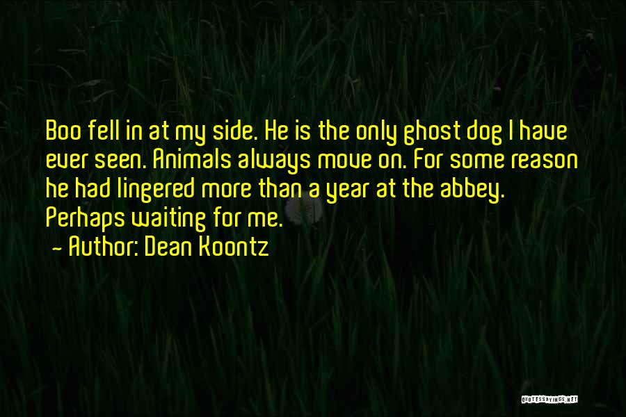 My Boo Quotes By Dean Koontz