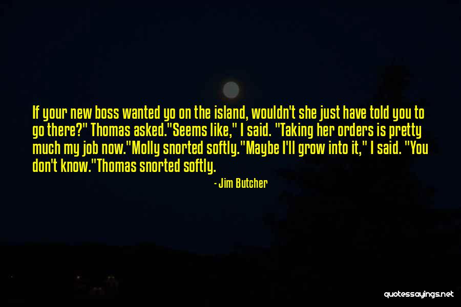 My Boss Quotes By Jim Butcher