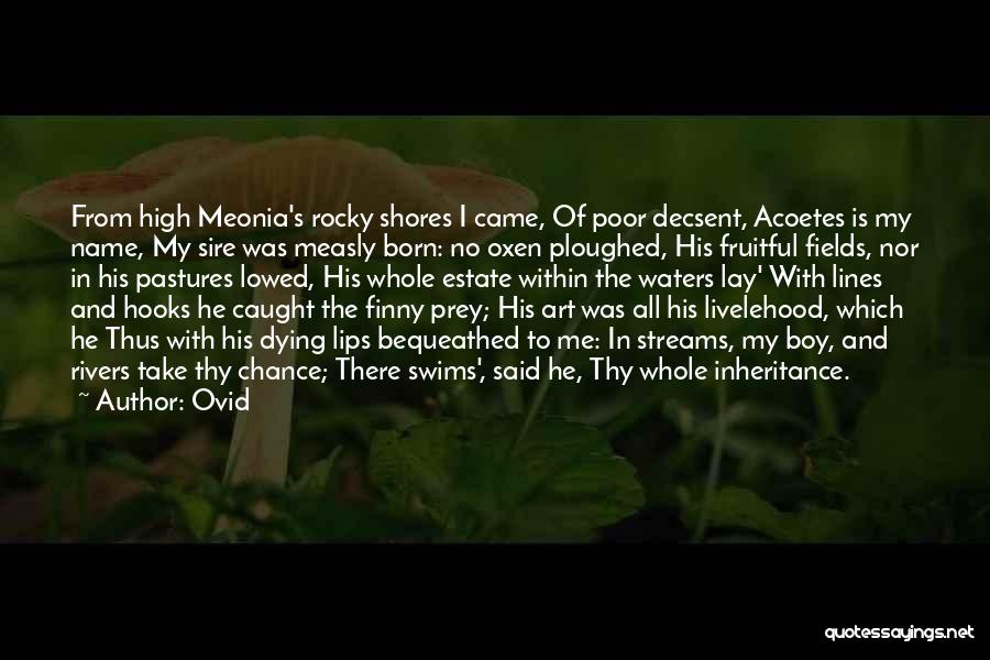 My Boy Quotes By Ovid