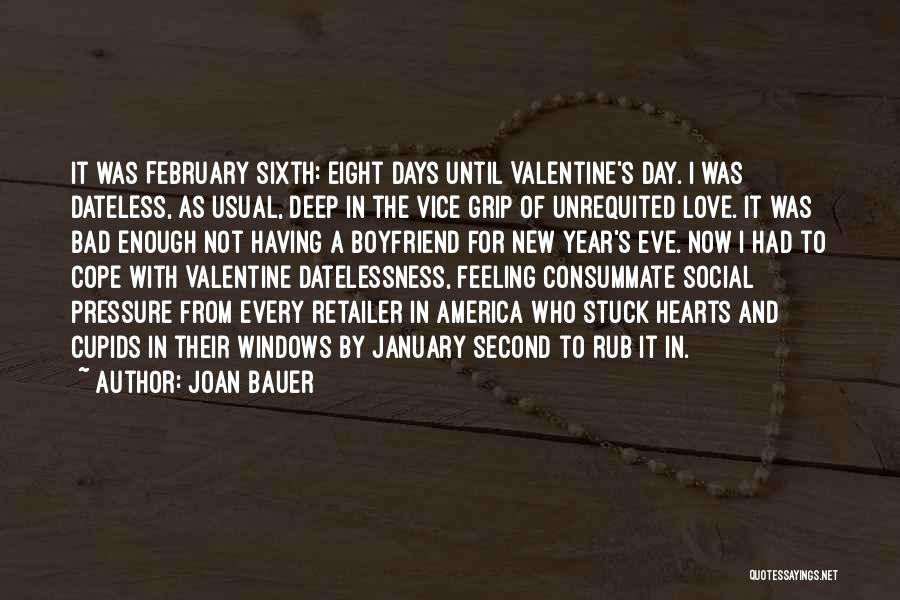 My Boyfriend On Valentine's Day Quotes By Joan Bauer