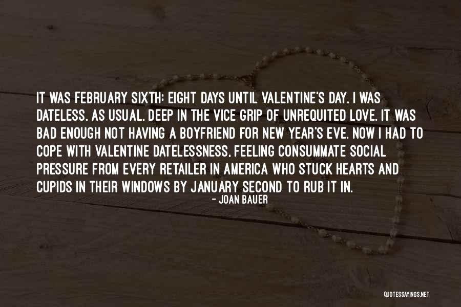 My Boyfriend On Valentine's Day Quotes By Joan Bauer