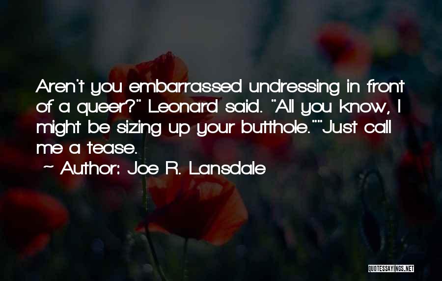 My Bromance Quotes By Joe R. Lansdale