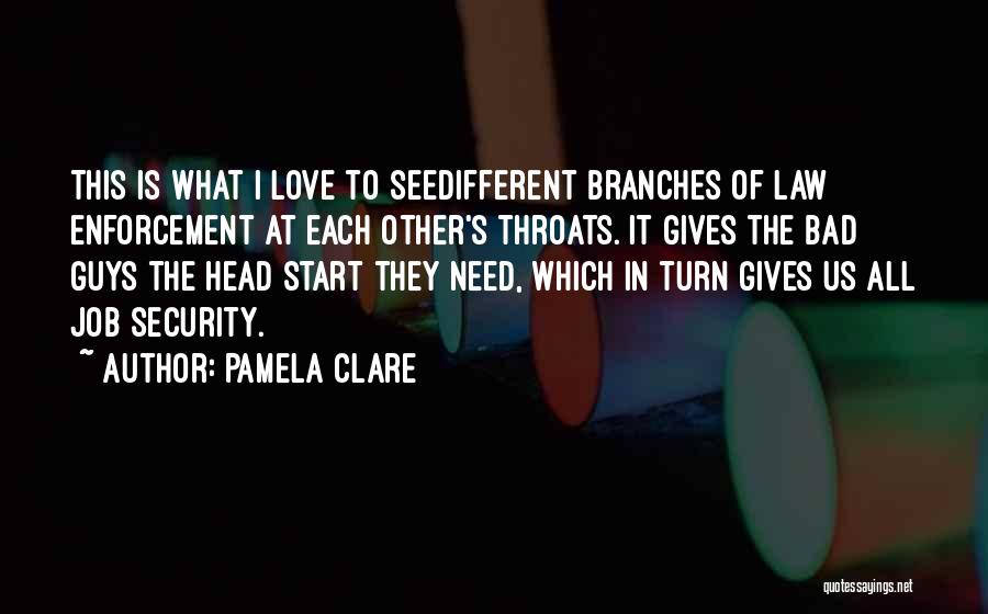 My Bromance Quotes By Pamela Clare