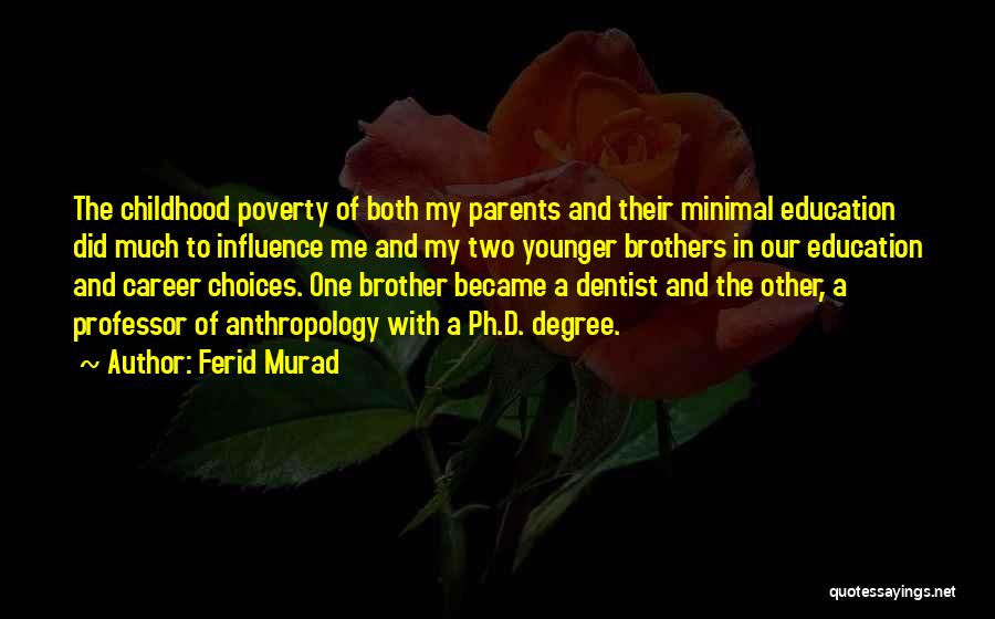 My Brother Quotes By Ferid Murad