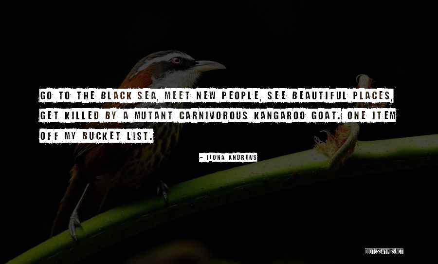 My Bucket List Quotes By Ilona Andrews My Bucket List Quotes By Ilona Andrews