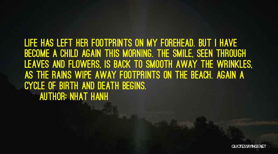 My Child's Smile Quotes By Nhat Hanh