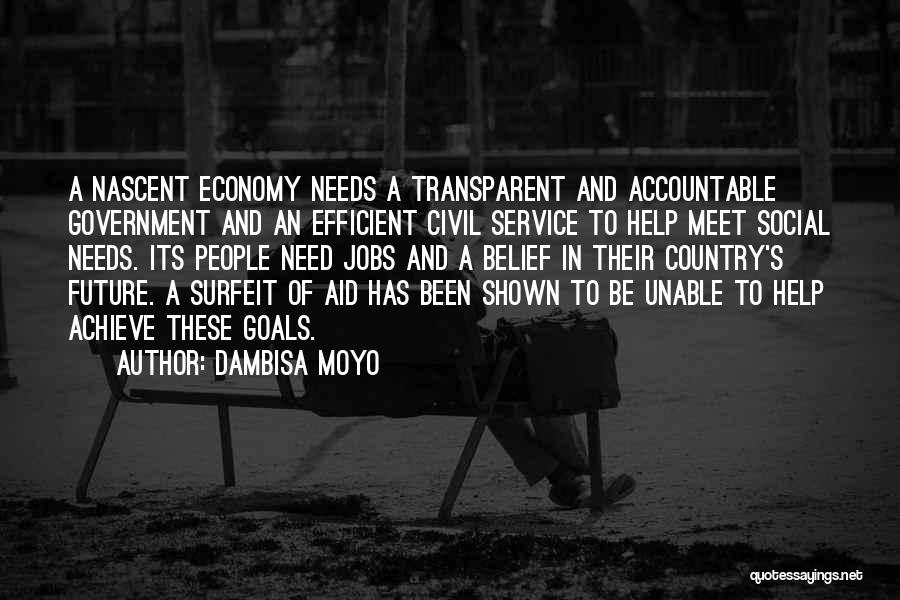 My Civil Service Quotes By Dambisa Moyo