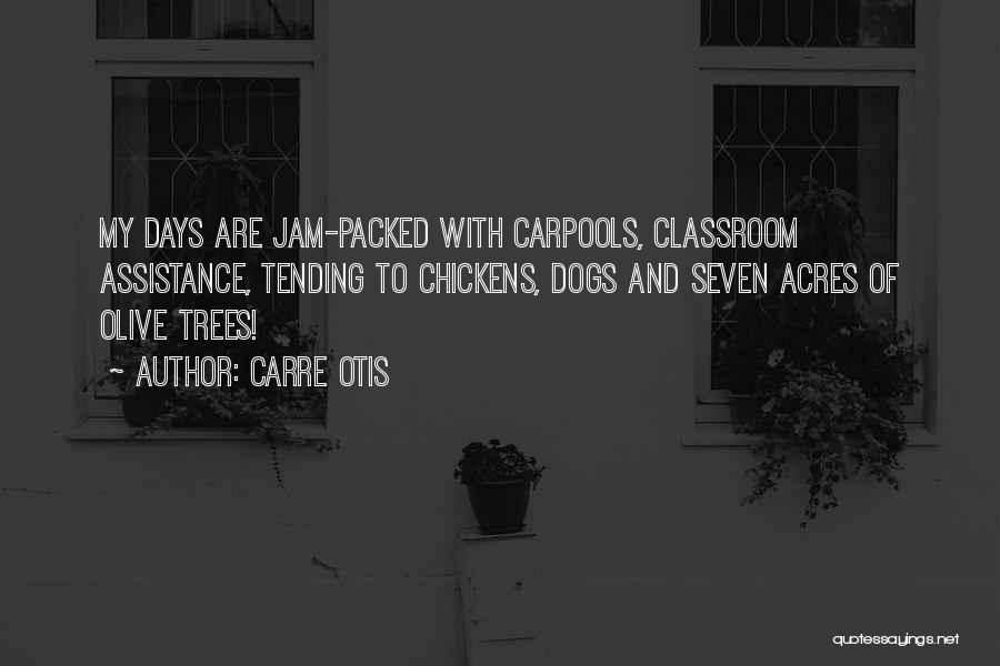 My Classroom Quotes By Carre Otis