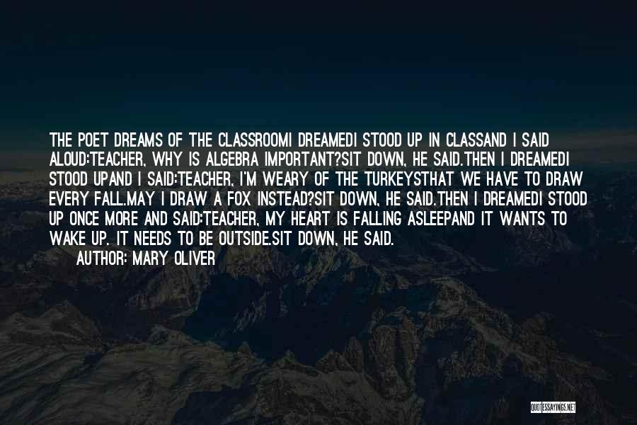 My Classroom Quotes By Mary Oliver