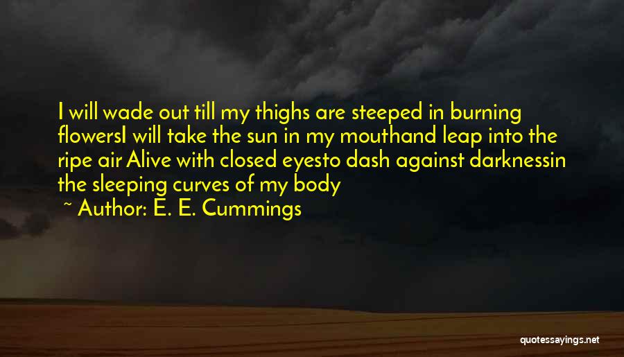 My Curves Quotes By E. E. Cummings