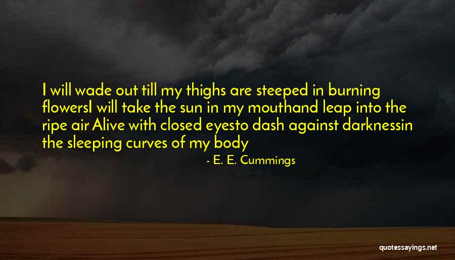 My Curves Quotes By E. E. Cummings