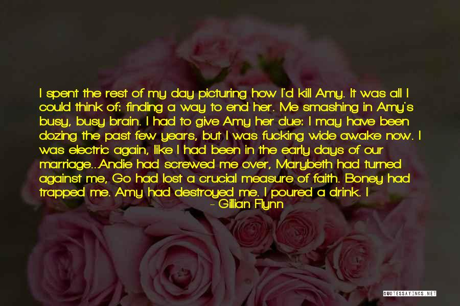 My Curves Quotes By Gillian Flynn My Curves Quotes By Gillian Flynn