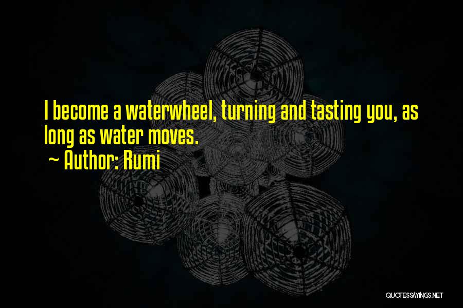 My Cute Boyfriend Quotes By Rumi