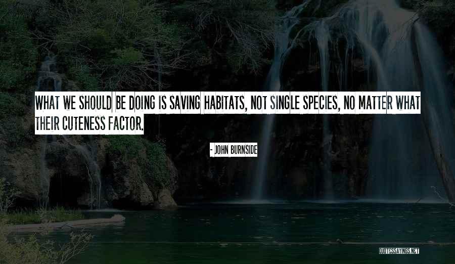 My Cuteness Quotes By John Burnside My Cuteness Quotes By John Burnside