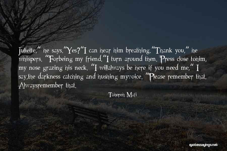 My Cuteness Quotes By Tahereh Mafi My Cuteness Quotes By Tahereh Mafi